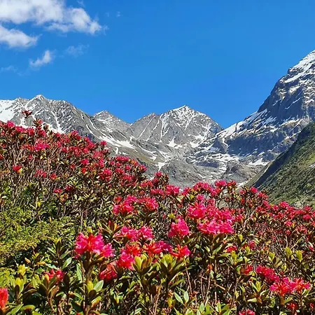 Santeler * Sankt Leonhard im Pitztal